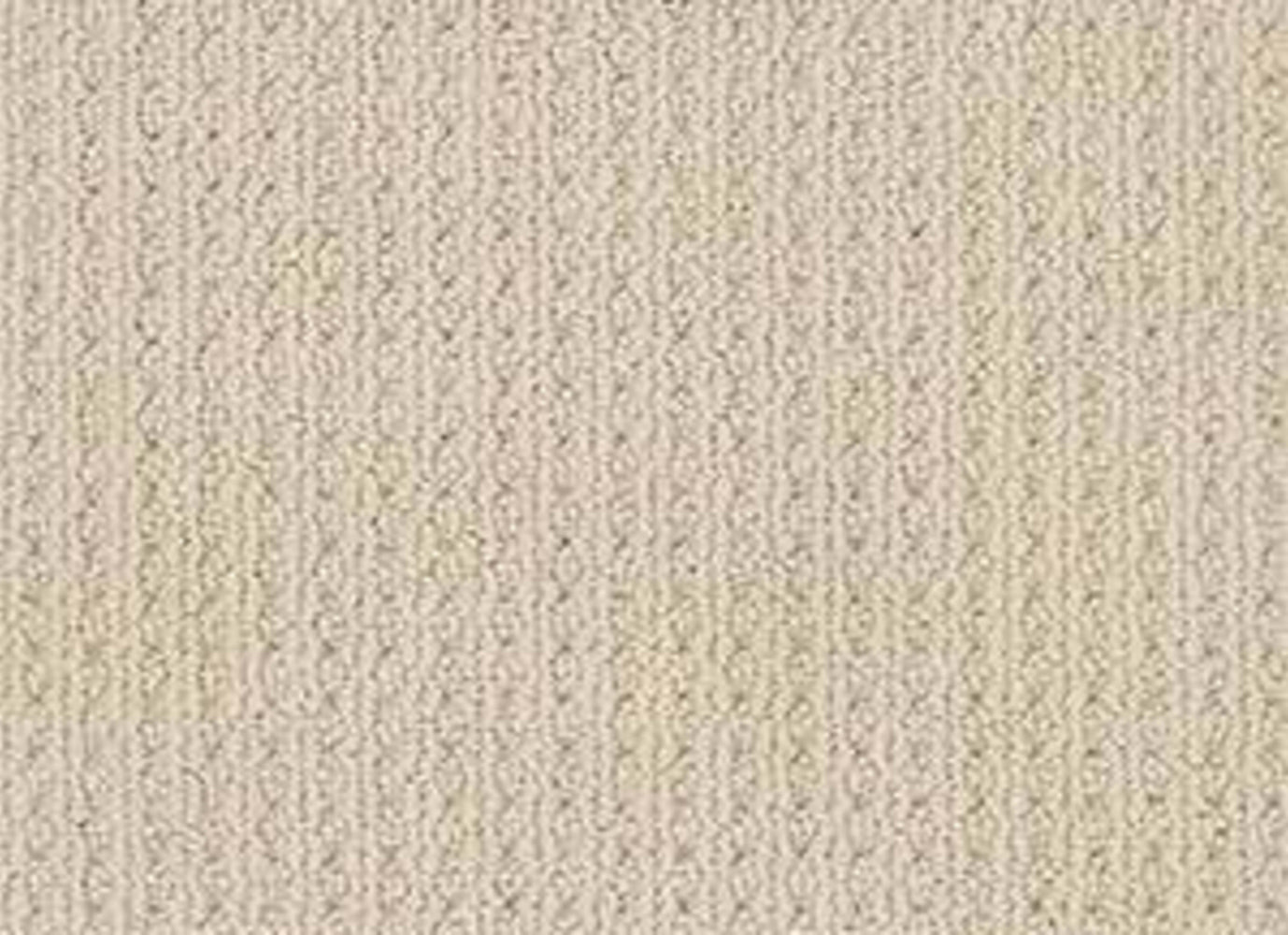 HARRIMAN HEIGHTS in Beach Haven Carpet