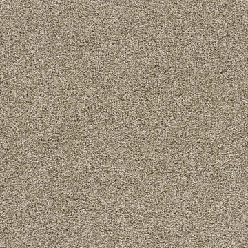 Dust