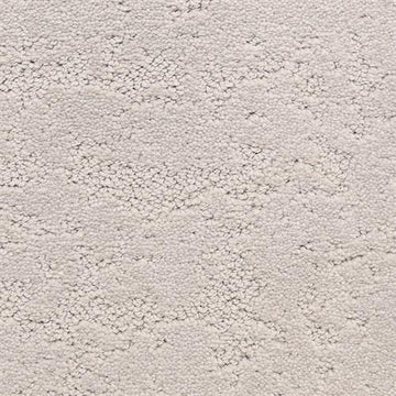 Plaster