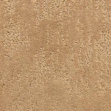 Attributes in Rugged Carpet