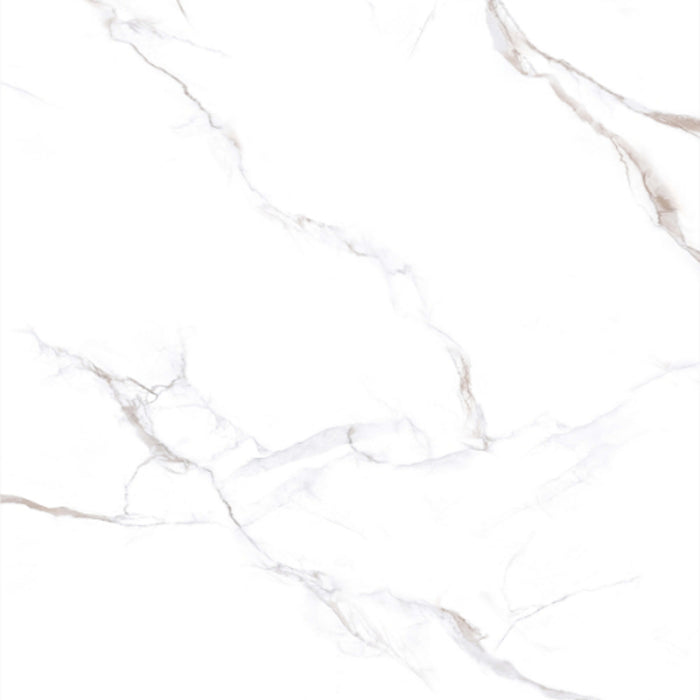 Calacatta Bronze in Polished 24x48 Tile