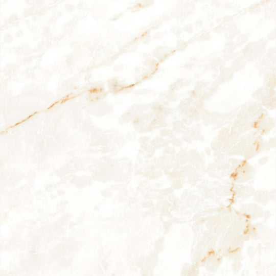 Calacatta Glam in Polished 24x48