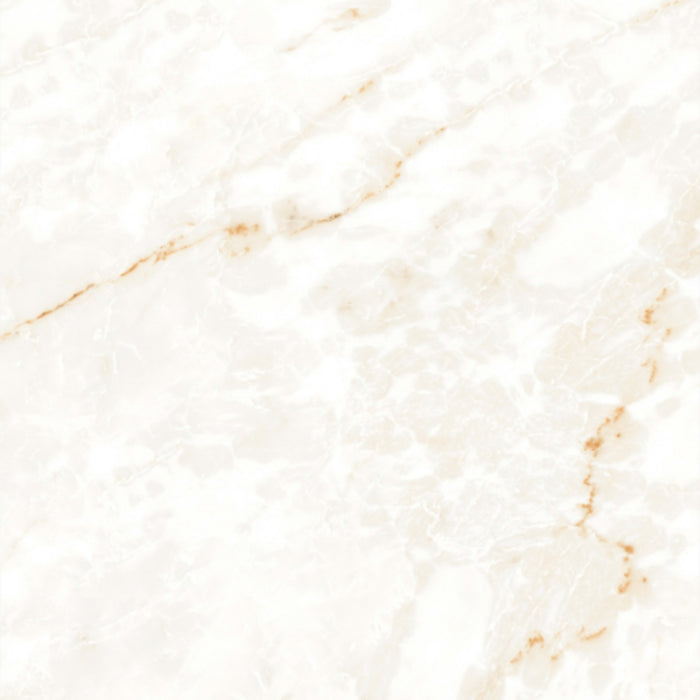 Calacatta Glam in Polished 24x48 Tile