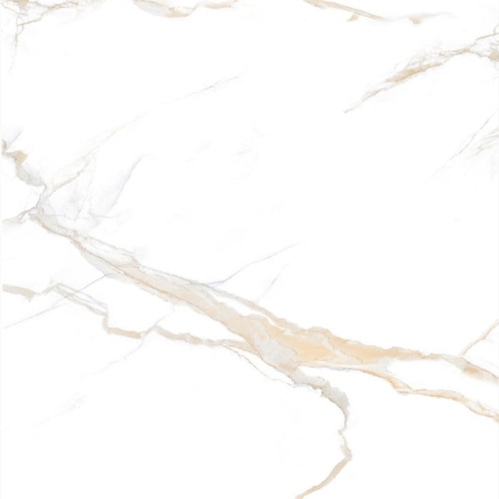 Calacatta Gold in Polished 12x24 Tile