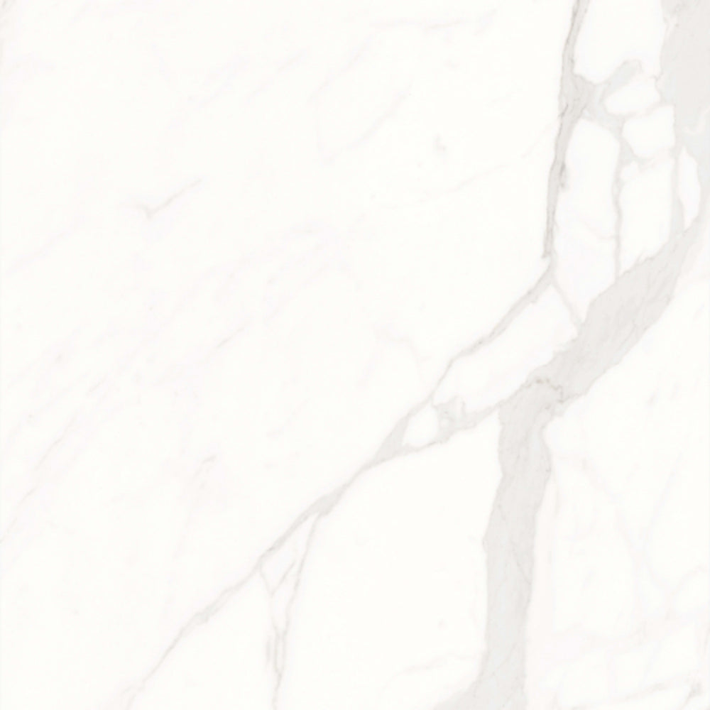 Calacatta Suave in Polished 24x48 Tile