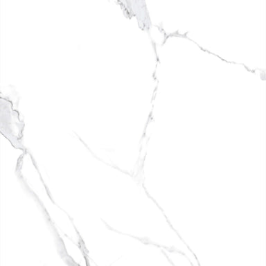 Calacatta White in Polished 24x48 Tile