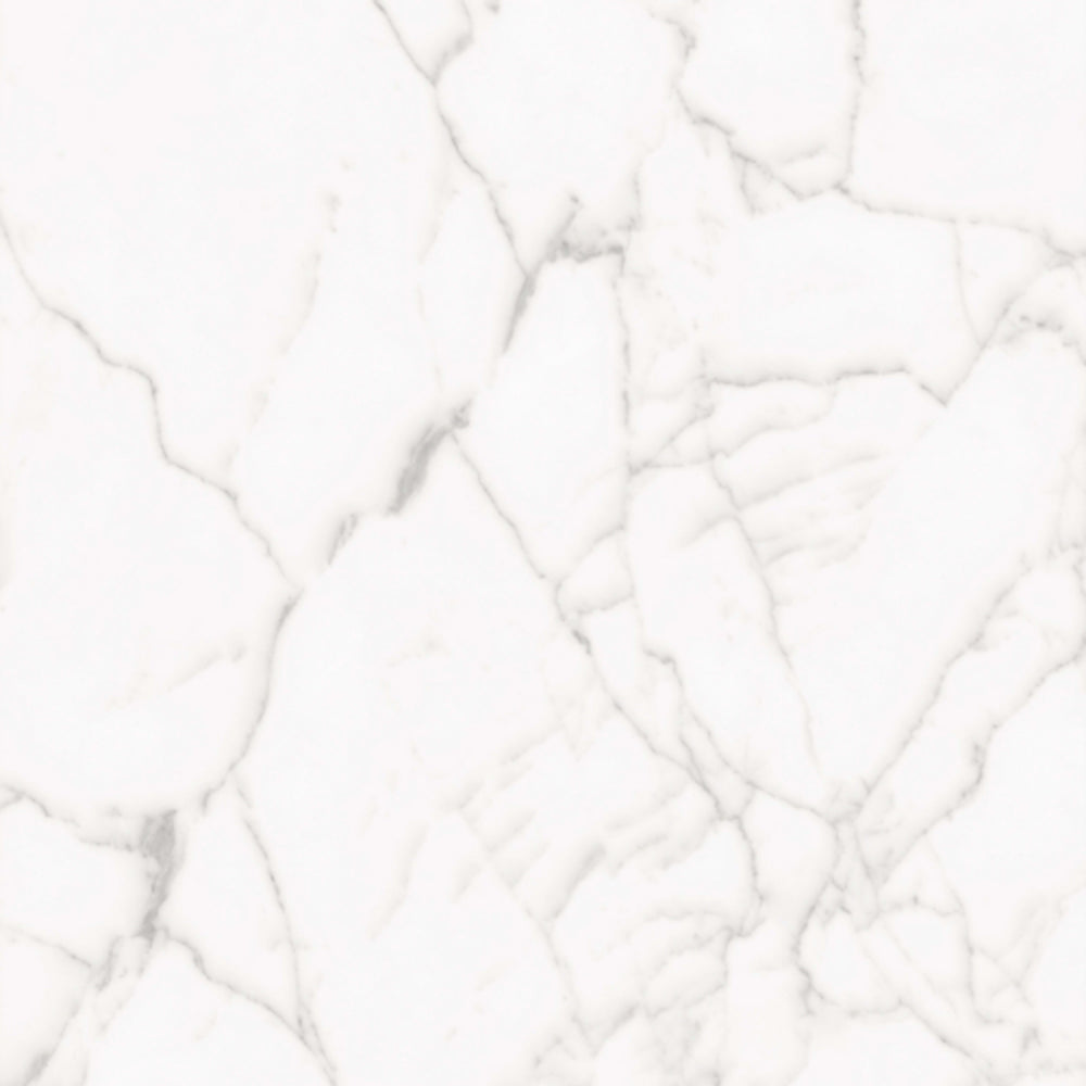 Core in White 24x48 Tile