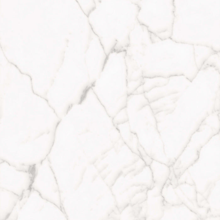 Core in White 24x48 Tile