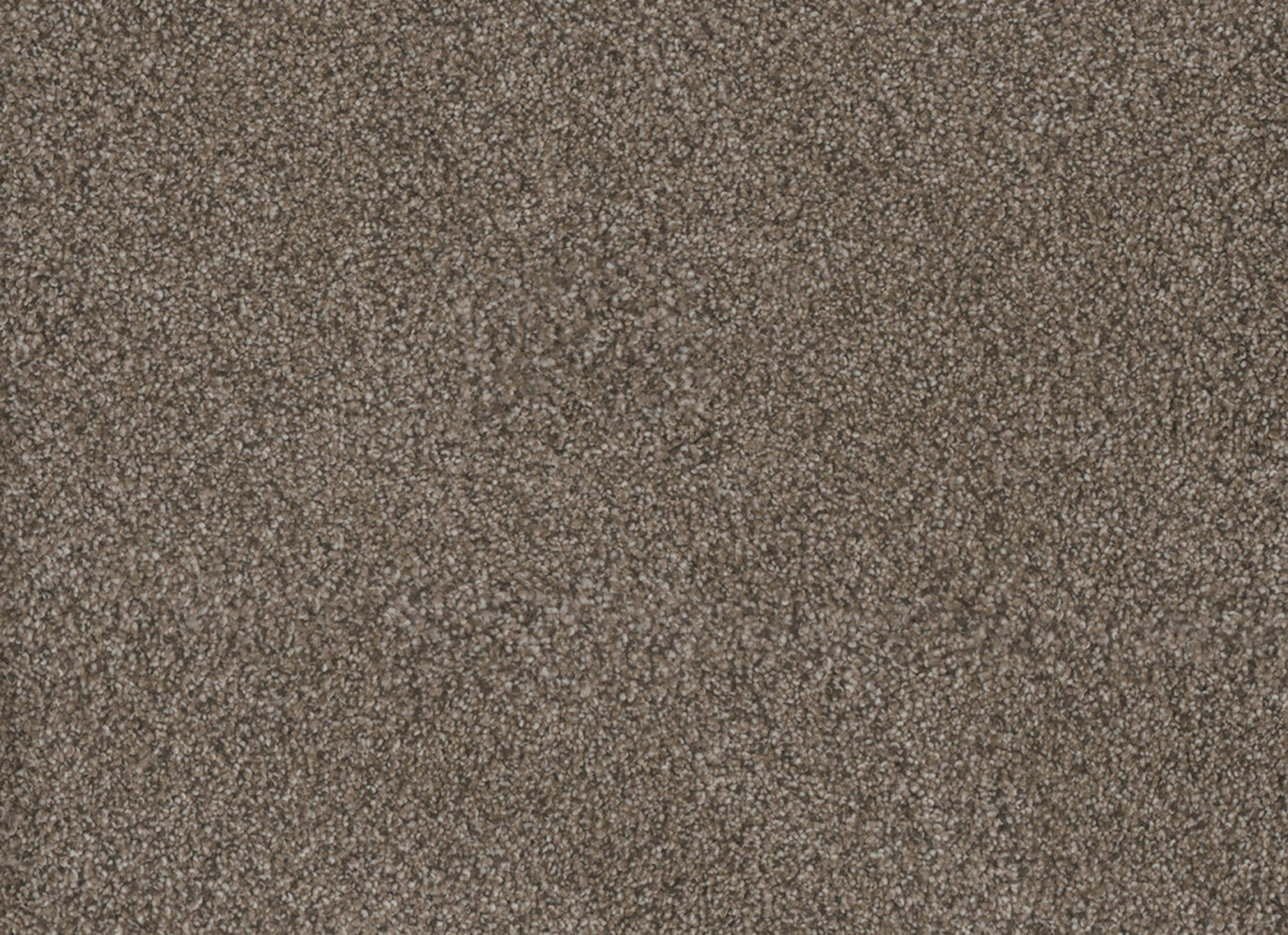 MONTE CARLO I in Fawn Carpet
