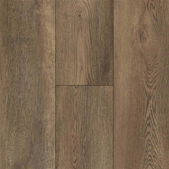 Equity Plank in Saddle