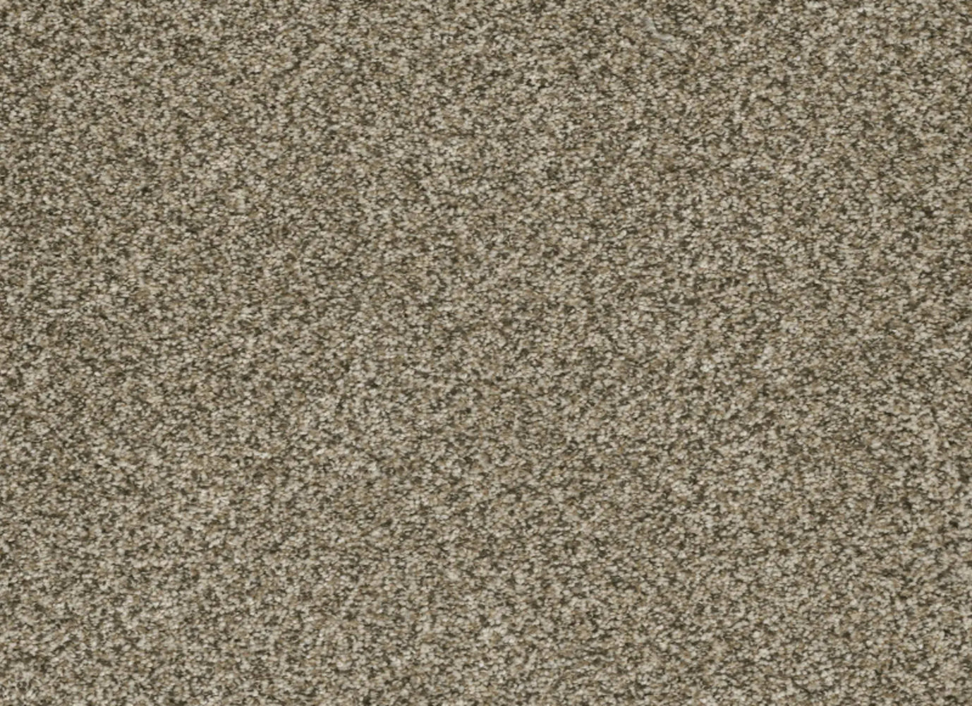 Brazen I in Sedona Carpet