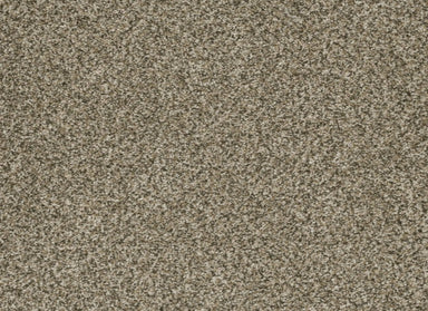 Brazen I in Sedona Carpet
