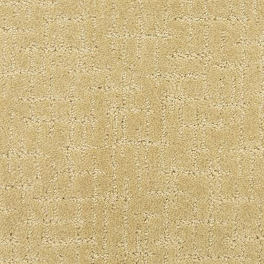 Amazing in Rare Beauty Carpet