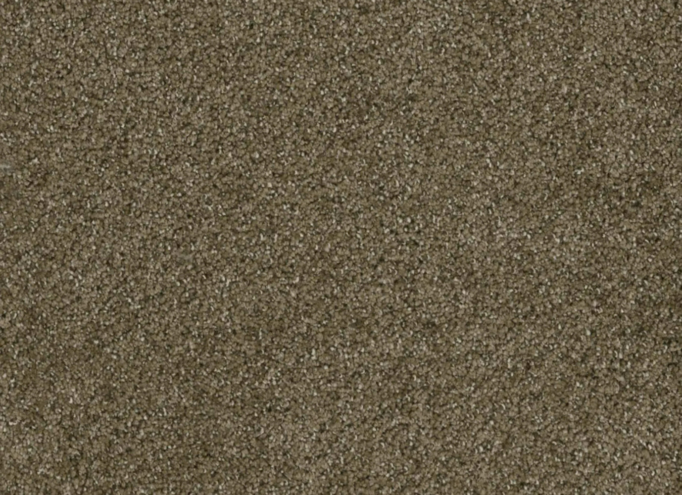 Brazen II in Brandywine Carpet