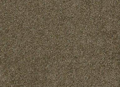 Brazen II in Brandywine Carpet