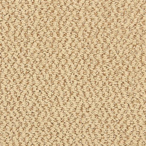 Hideaway in Colony Carpet