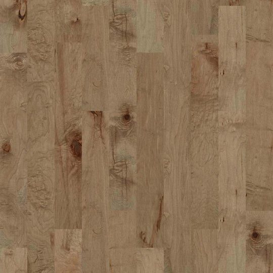 COTTONWOOD MAPLE in Gold Dust