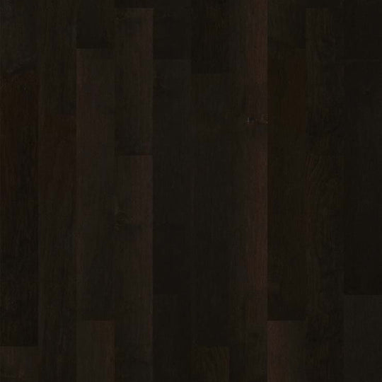 COTTONWOOD MAPLE in Midnight