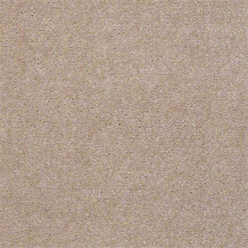 Shell Beige