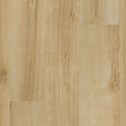 Caldwell in Soft Clay