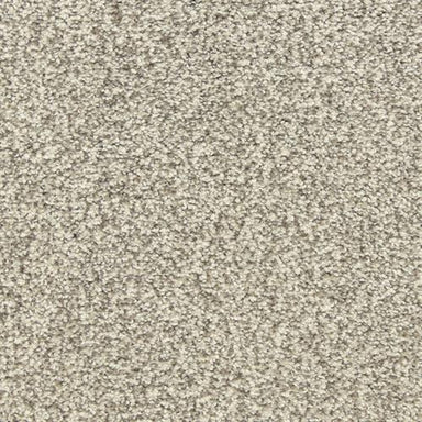 Dawn'S Delight in Artic Blast Carpet