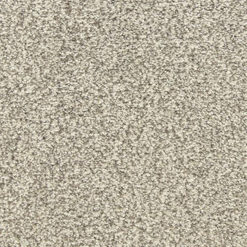 Dawn'S Delight in Artic Blast Carpet