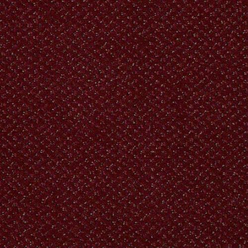 Sp286 in Delray Carpet