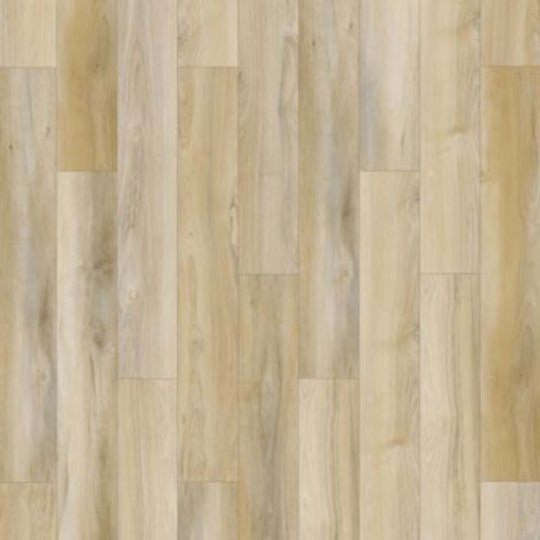 Lookout Trace in Shoreline