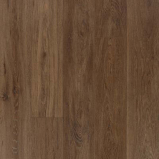 Lookout Trace in Pecan