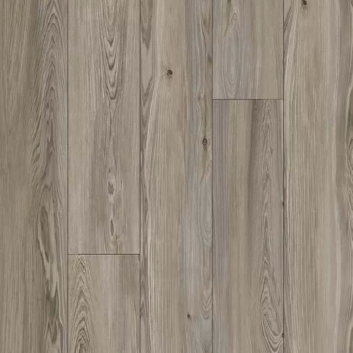 Refined Forest in Platinum Luxury Vinyl