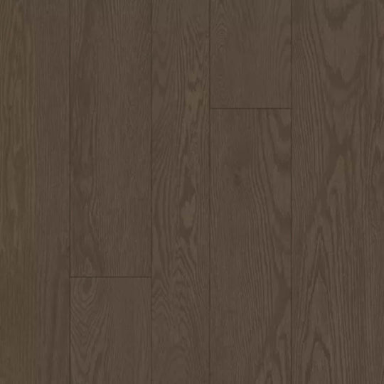 Refined Forest in Kona