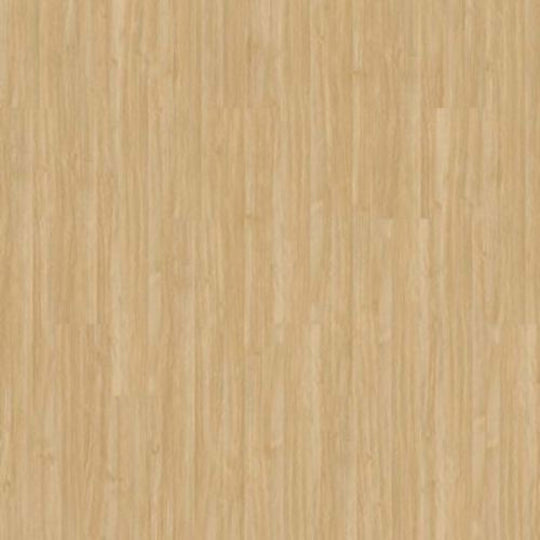 Pro Solutions Db in Camel