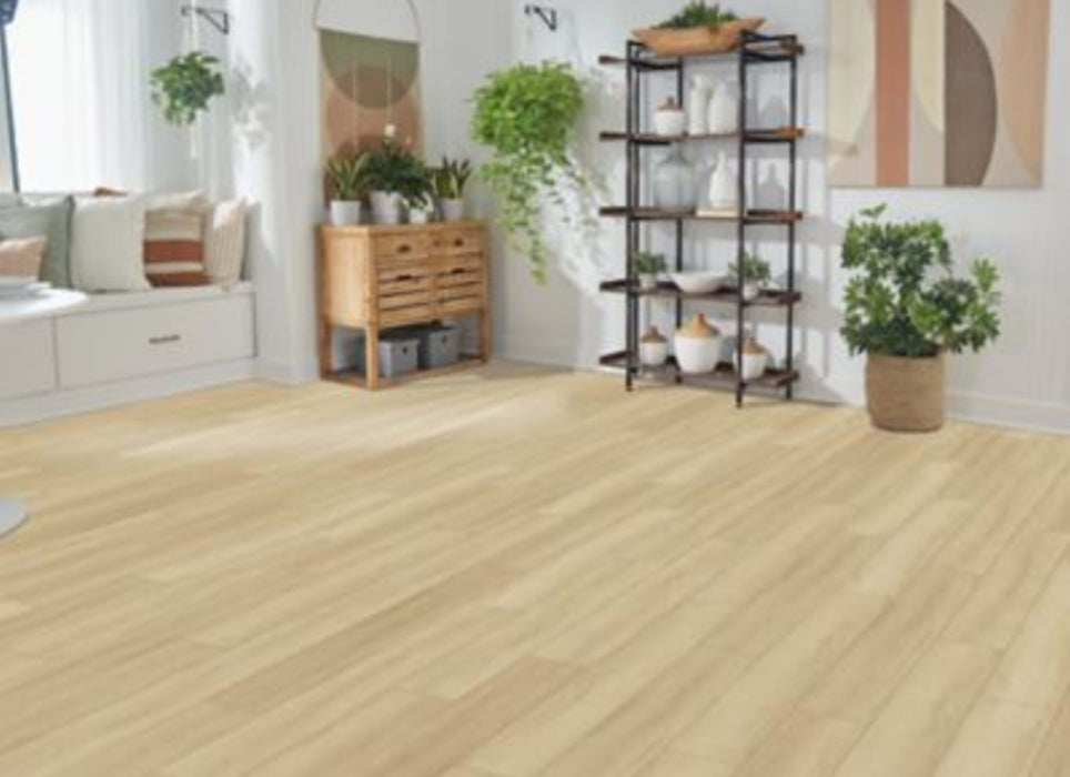 Cordova Falls in Walker Lane