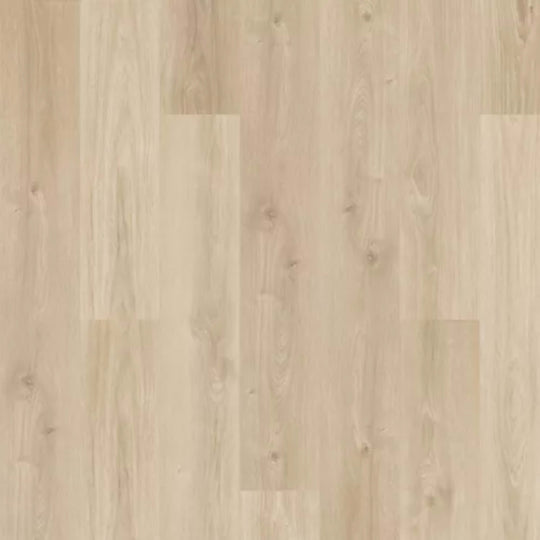 Windham Shores in Asher