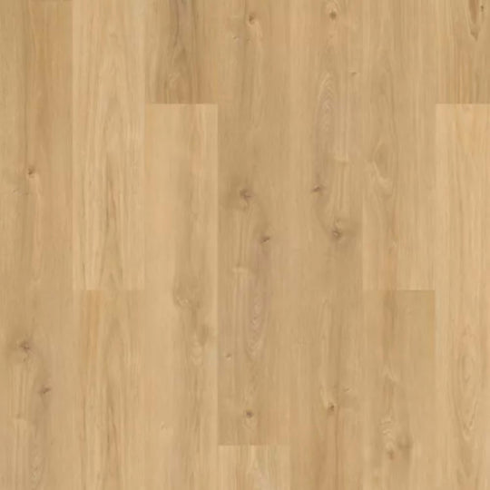 Windham Shores in Aleia