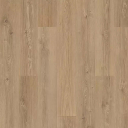 Windham Shores in Wincrest