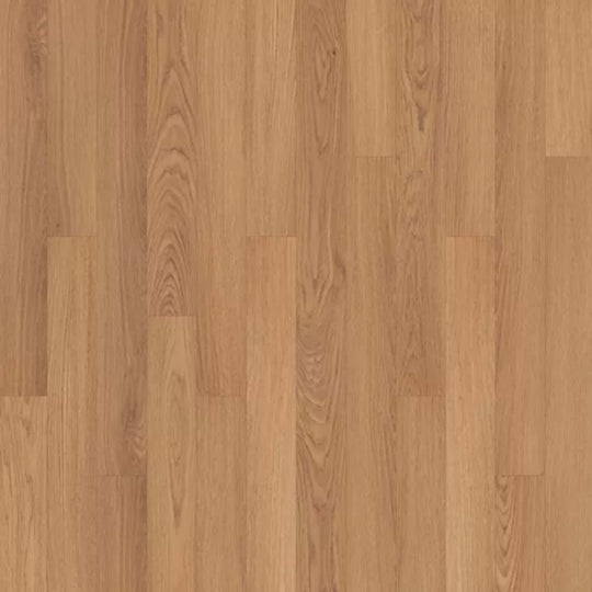 Summerhill Chase 5" in Baylor