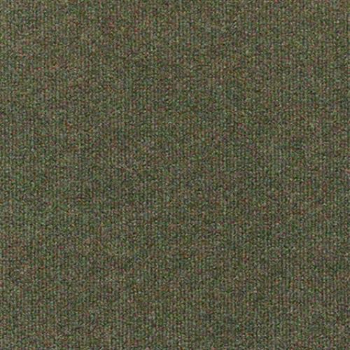 Cape Coral 12' Unitary in Terra Verte Carpet