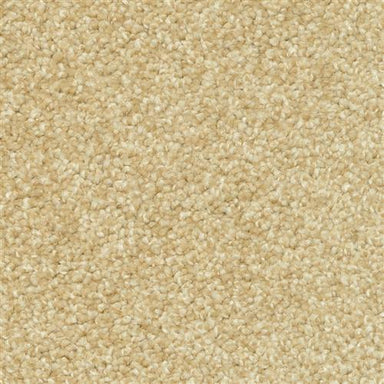 Magic Moment in Basketry Carpet