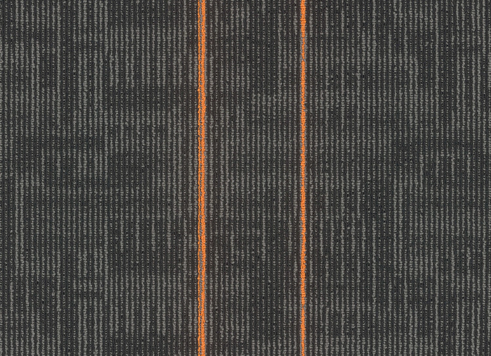 Echo Plank