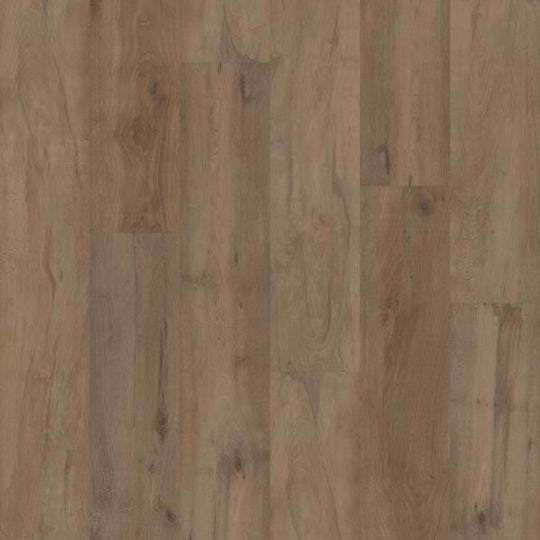 EPITOME in Warwick Maple