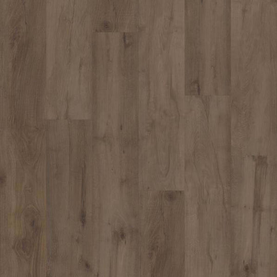 EPITOME in Stonehaven Maple