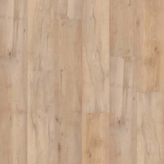 EPITOME in Brookfield Maple