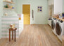 EPITOME in Brookfield Maple