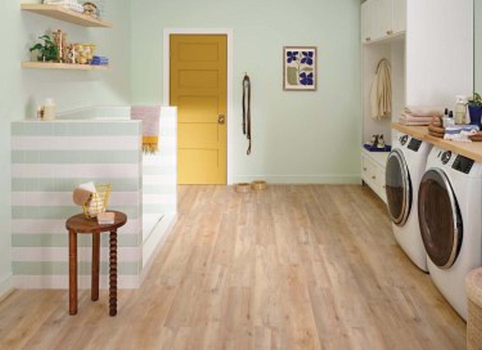 EPITOME in Brookfield Maple