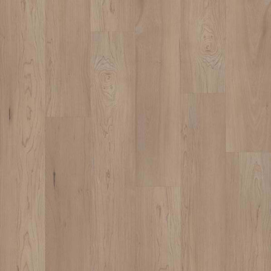 EPITOME in Hatfield Maple