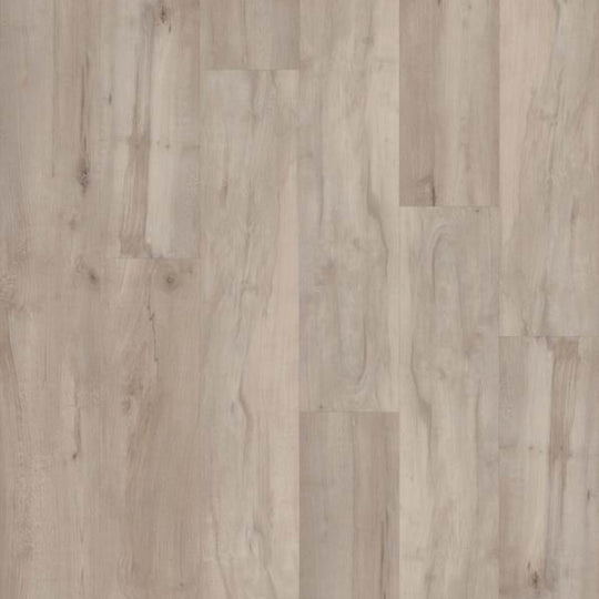 EPITOME in Lawrence Maple