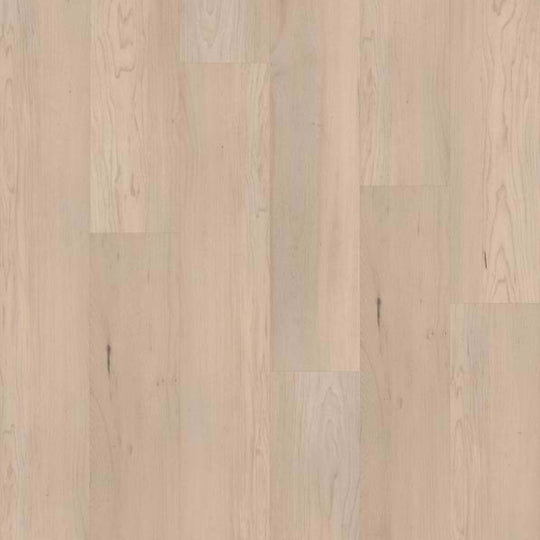 EPITOME in Norfolk Maple