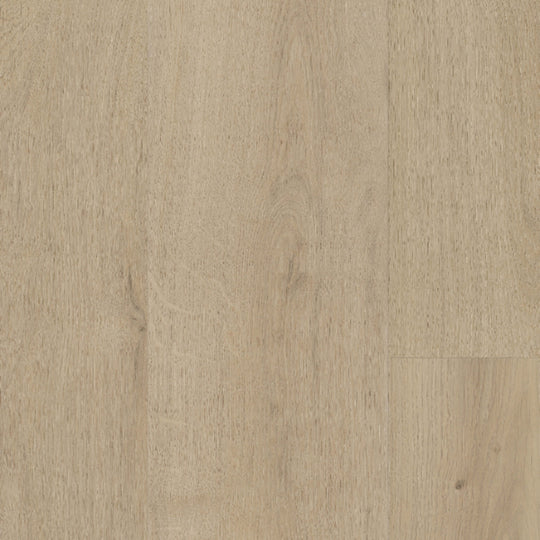 Sequoia in Mineral Peak