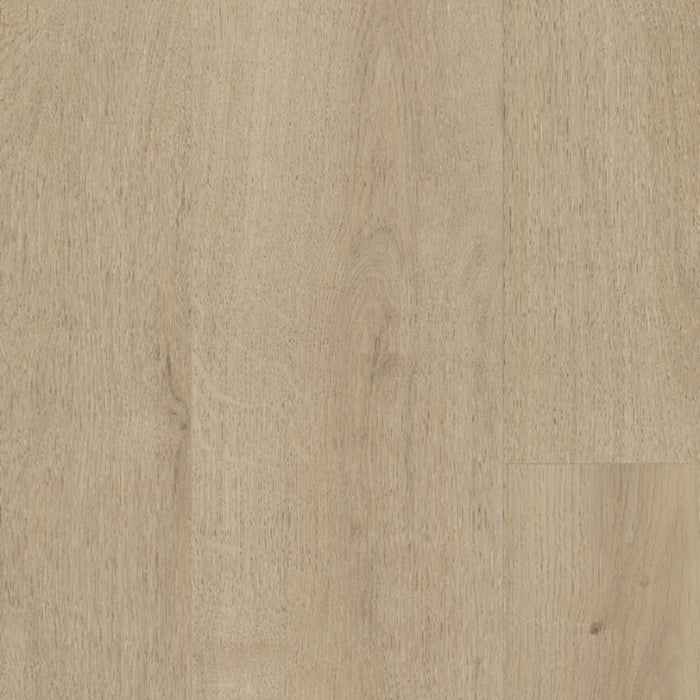 Sequoia in Mineral Peak Laminate